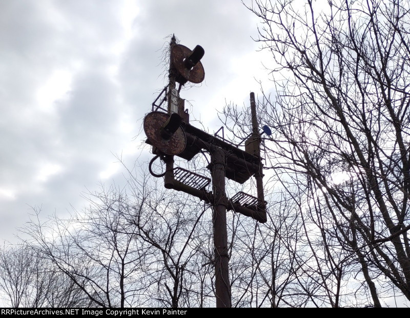 EX-RDG Signals